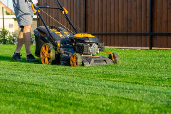 Toronto, Household, Ready For A Better Lawn? Book Saskatoon Lawn Care Today