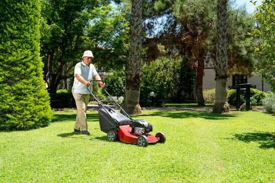 Toronto, Household, Ready For A Better Lawn? Book Saskatoon Lawn Care Today