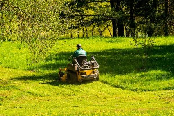 Toronto, Household, Ready For A Better Lawn? Book Saskatoon Lawn Care Today