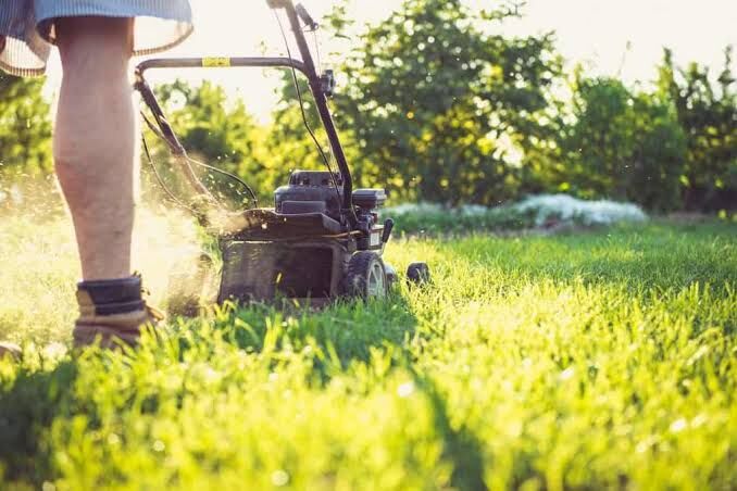 Toronto, Household, Ready For A Better Lawn? Book Saskatoon Lawn Care Today