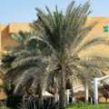 How To Start Company Formation In Dubai Science Park Easily
