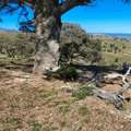 Enhance Your Planning Accuracy With A Detailed Site Survey In Melbourne