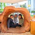 Custom Nature Play Spaces That Inspire Adventure