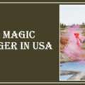Black Magic Astrologer In Iowa
