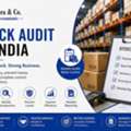 Stock Audit Services For Better Inventory Control In India