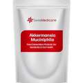 Buy Akkermansia Probiotics In Bulk For Your Business &mdash; Enquire Now