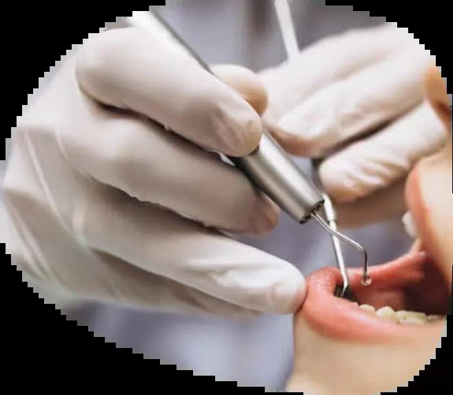 Sydney, Dental, Dentist Leopold
