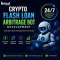 Expert Flash Loan Arbitrage Bot Developers &ndash; 24/7 Automation