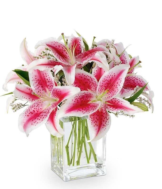 New York, Businesses For Sale, Lillies Boquet Buy | Gifts And Petals Floral Bliss