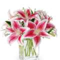 Lillies Boquet Buy | Gifts And Petals Floral Bliss