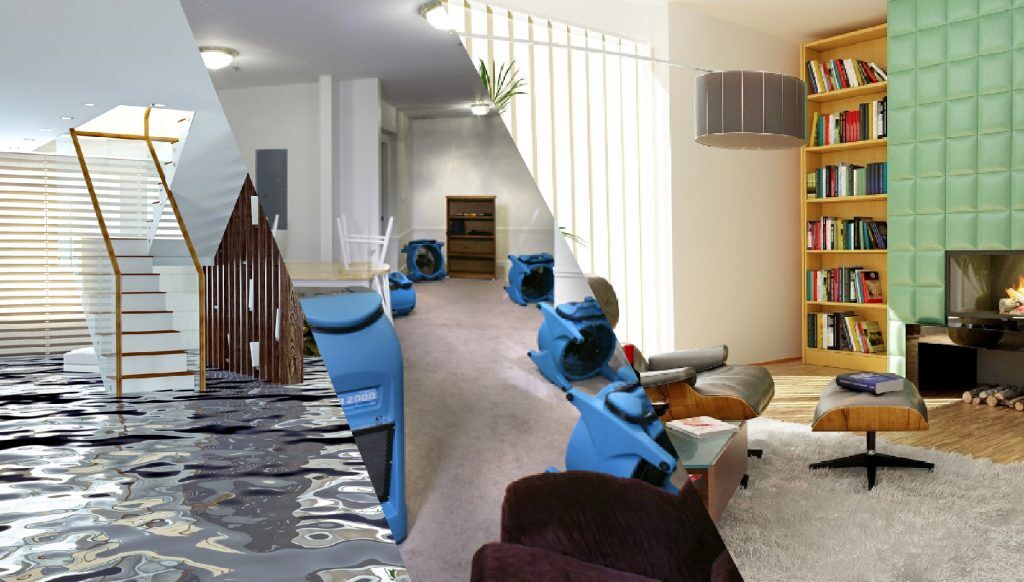 Sydney, Cleaning, Looking For Water Damage Service With Fast Response?