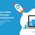 Hire Salesforce AppExchange Developer For Custom Solutions