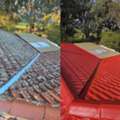 Bring Back Your Roof's Beauty With Roof Cleaning And Restoration