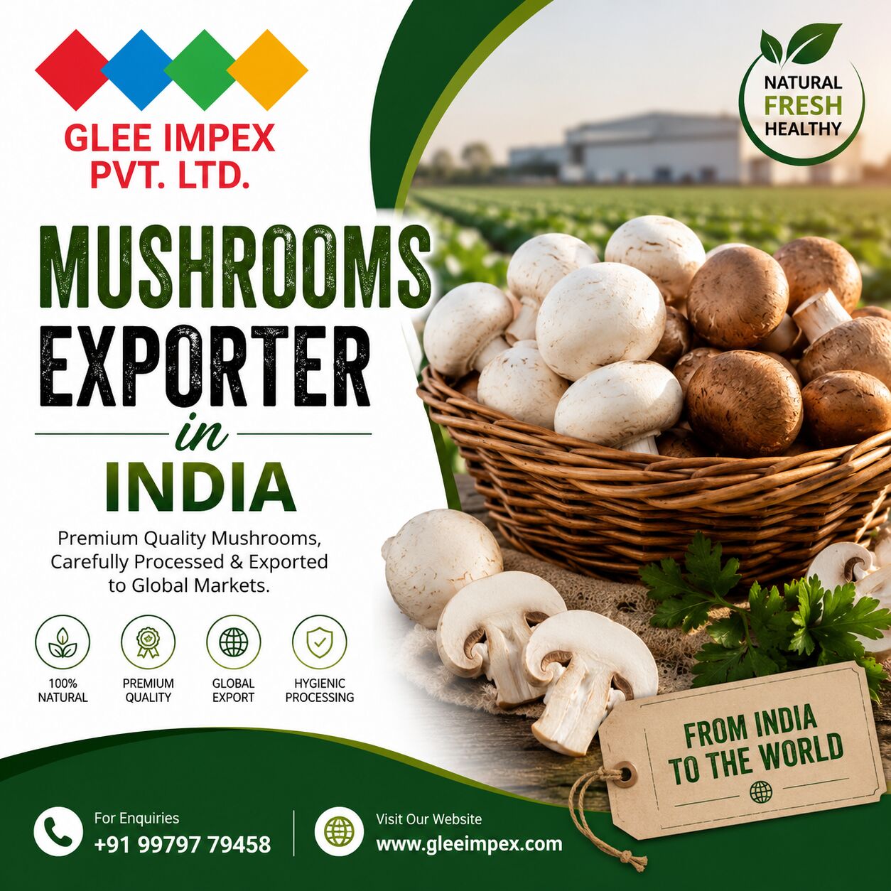 Mumbai, Food, Best Exporter Company In India For Premium Mushroom Exports | GLEE IMPEX