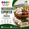 Best Exporter Company In India For Premium Mushroom Exports | GLEE IMPEX