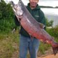 Alaska Fishing Trips