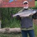 Best Salmon Fishing In Alaska