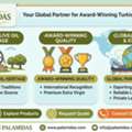 Palamidas Olive Oil - Your Global Partner For Award-Winning Turkish Excellence