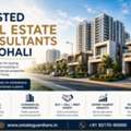 Trusted Real Estate Consultants In Mohali