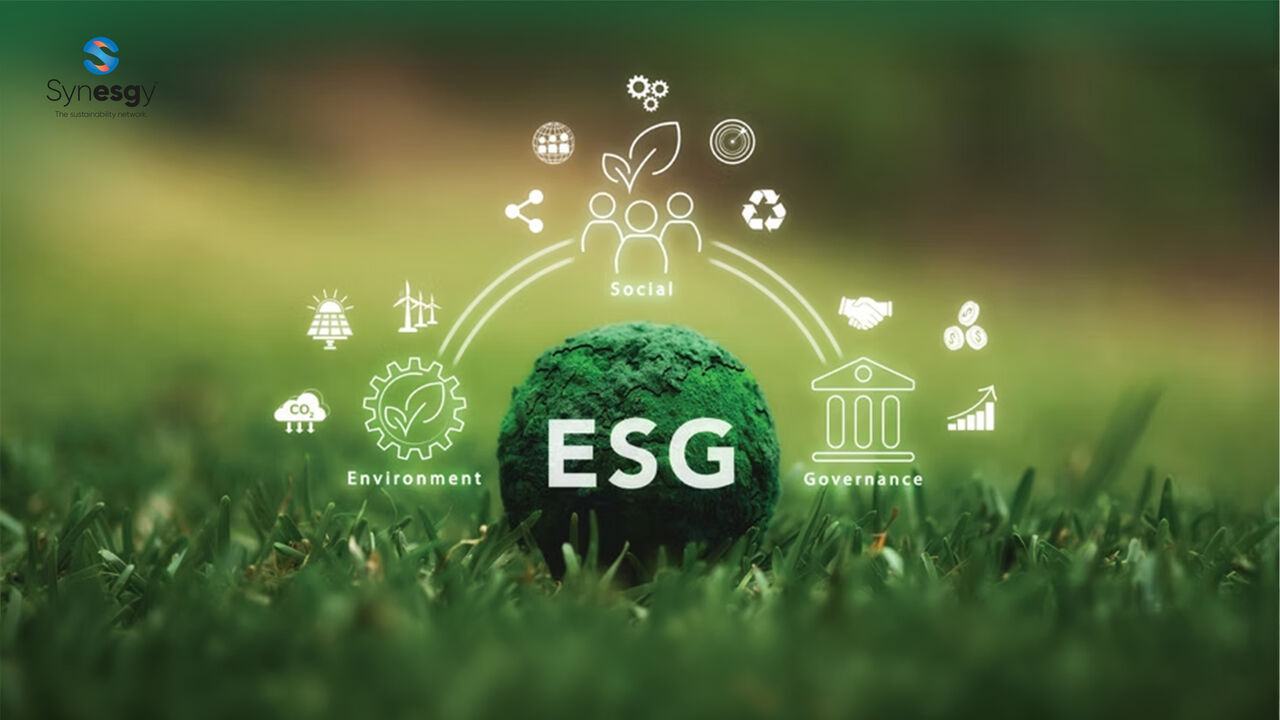 Dubai, Business, Build A Strong ESG Framework With Synesgy Solutions