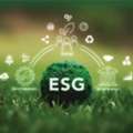 Build A Strong ESG Framework With Synesgy Solutions