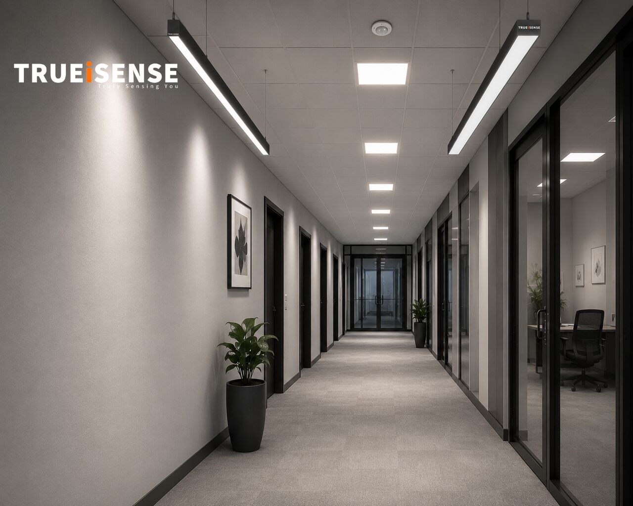 Noida, Electronics, Motion Sensor Light Solutions For Commercial & Industrial Spaces | Trueisense