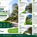 Hospitals And Clinics Landscaping In Riyadh