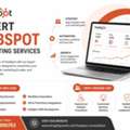 Expert HubSpot Consulting Services - Pune