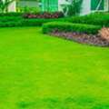 Landscaping Services Abu Dhabi | Sabah Al Mustaqbal