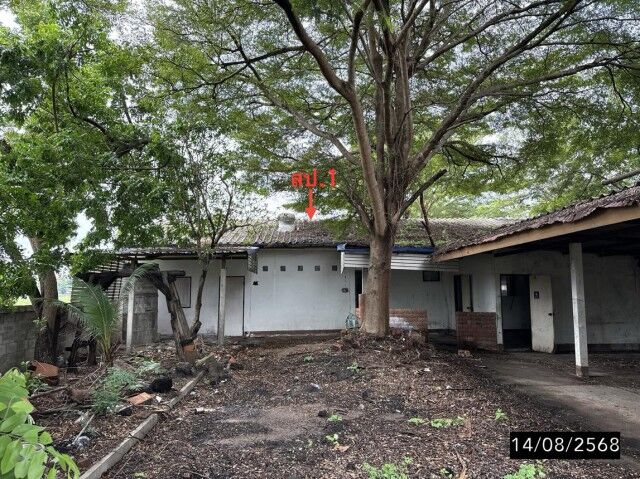 Bangkok, Real Estate For Sale, THB 6631000,  3 BR,  600 Sq. Feet,  1-story Detached House For Sale, Khon Kaen, Kuruprachasan Road, Ban Ped Subdistrict.