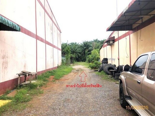Bangkok, Real Estate For Sale, THB 22434000,  6 BR,  3748 Sq. Feet,  Land For Sale Surat Thani Surat Thani - Lang Suan Road, Tha Chana District