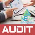 Part Time Auditor Expert