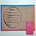 SAR 10,  Cork Board (23 In X 17 In)