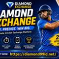 Understanding Diamond Exchange: A Simple Guide To Digital Cricket Platforms