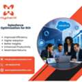 Salesforce Optimization For ROI