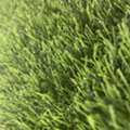 SAR 100,  Artificial Grass Turf 6 Sq Mtr