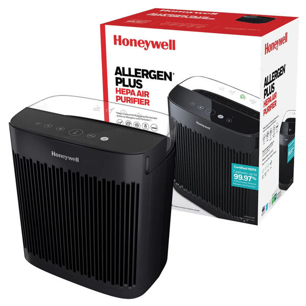 New York, Business, Air Purifier For Allergies: Best Picks For Smoke & Pets