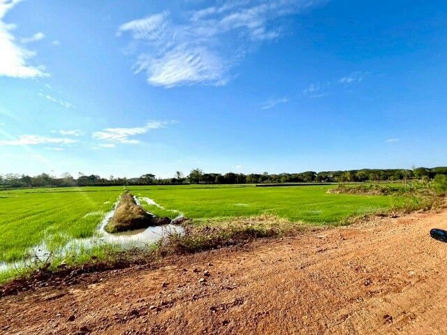Bangkok, Real Estate For Sale, THB 6999999,  6 BR,  5030 Sq. Feet,  Land For Sale, Area 12 Rai 2 Ngan 30 Square Wah, Samran Subdistrict, Mueang District,