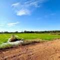 THB 6999999,  6 BR,  5030 Sq. Feet,  Land For Sale, Area 12 Rai 2 Ngan 30 Square Wah, Samran Subdistrict, Mueang District,