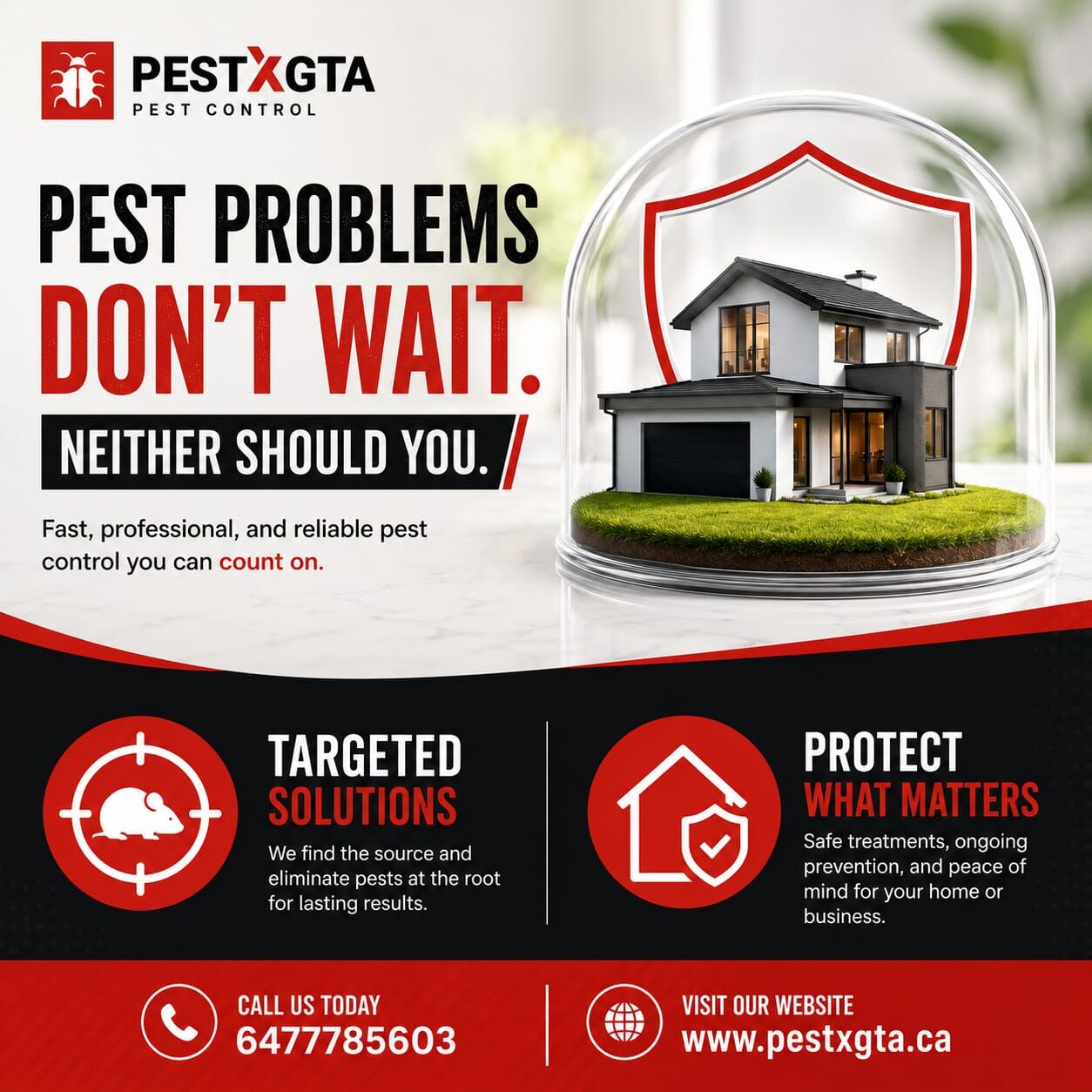 Toronto, Pest Control, PESTXGTA