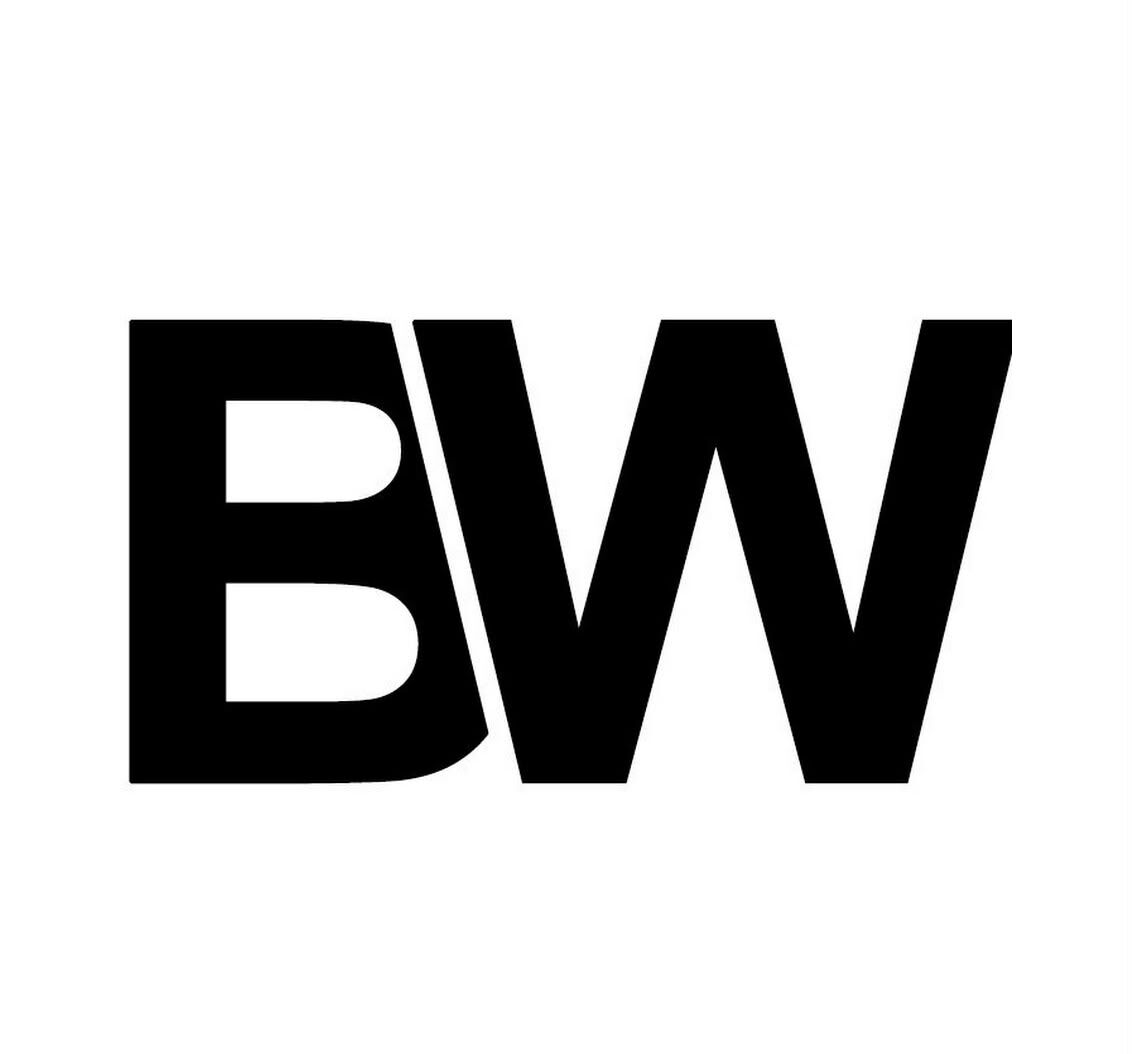Toronto, Business, BridgeWeb - Website Design & Development