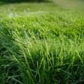 High-Performance Synthetic Grass For Football Fields