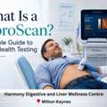 What Is A FibroScan? | Harmony's Expert Guide To Liver Health