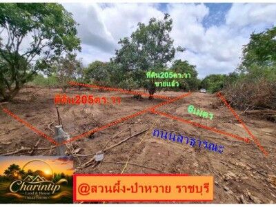 Bangkok, Real Estate For Sale, THB 1,  6 BR,  205 Sq. Feet,  Land For Sale, 205 Square Wah (NS.3K., Waiting To Survey And Get Title Deed), Beautiful