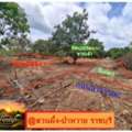 THB 1,  6 BR,  205 Sq. Feet,  Land For Sale, 205 Square Wah (NS.3K., Waiting To Survey And Get Title Deed), Beautiful