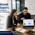 GoHighLevel Developers For Niche Industries With Complex CRM Needs