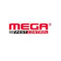 Rat Control Langley | Practical Local Pest Solutions