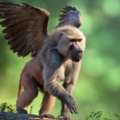 Break Free From Flying Monkeys & Narcissistic Control | Narcissistic Abuse Rehab
