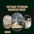 Vietnam Plywood Manufacturer