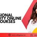 LOVELY PROFESSIONAL UNIVERSITY ONLINE Mcom Courses